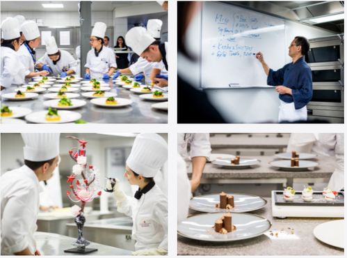 學(xué)西餐也可以出國留學(xué),王森教育集團(tuán)帶您融入行業(yè)高端圈層