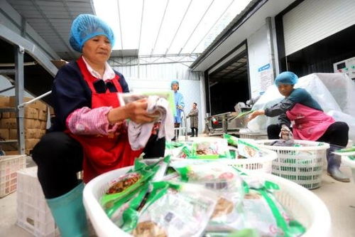 吉安安福縣竹筍加工產(chǎn)業(yè) 助農(nóng)家門口就業(yè)增收與鳳凰網(wǎng)江西高級(jí)催乳師計(jì)劃的融合之路