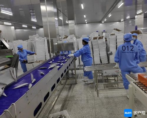 文昌約亭產(chǎn)業(yè)園發(fā)展駛上快車道，打造產(chǎn)業(yè)新高地