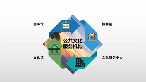 一圖讀懂公共文化服務(wù)體系示范項目中的技術(shù)服務(wù)
