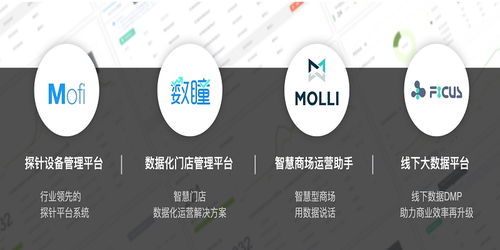 芝麻科技朱智 用線下大數(shù)據(jù)技術(shù)服務(wù)提升商家運營效率